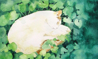 炒虾的做法大全家常花甲炒虾的做法大全家常